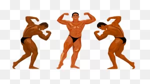 Bodybuilding Competition Clipart. Free Download Transparent .png ClipartFlare.com 