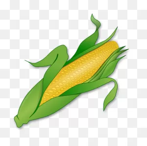 10 Corn Ideas | Corn, Clip Art, Corn On Cob