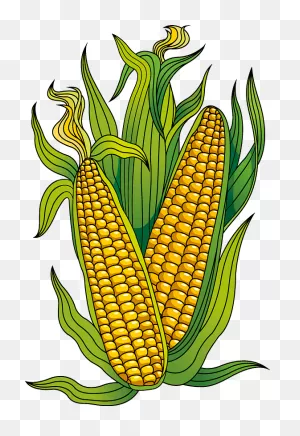 Cartoon Corn Clipart Transparent - Clipart World