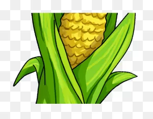 Download Corn Clipart Png Corn Clipart - Maize Png Image With No ClipartFlare.com 