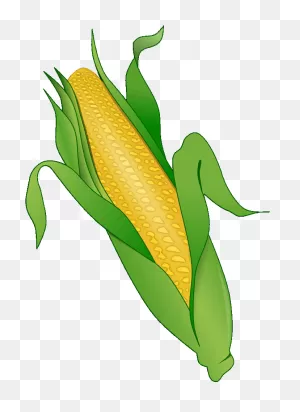 Download Corn Clipart Transparent Food - Food - Full Size Png ClipartFlare.com 