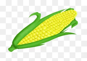 Transparent Background Corn Clipart - Png Download - Full Size ClipartFlare.com 