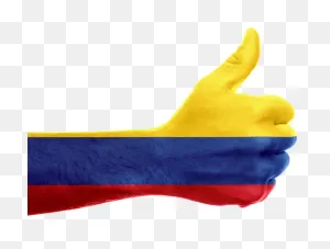 Colombia Team News - Soccer | Fox Sports