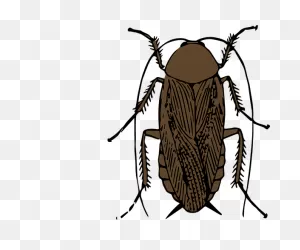 Transparent Background Cockroach Png Clipart - Full Size Clipart ClipartFlare.com 