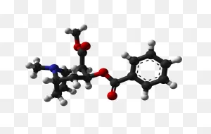 File:cocaine-From-Xtal-1983-3D-Balls.png - Wikimedia Commons