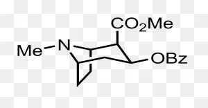 Structure Of Cocaine - Carvone Epoxidation Product Clipart - Full ClipartFlare.com 