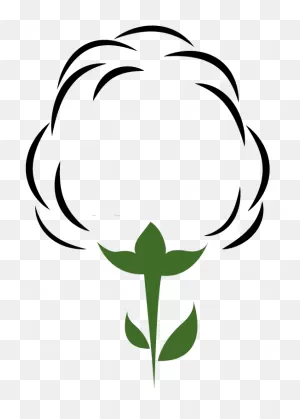 Cotton Clipart Cotton Plant, Cotton Cotton Plant Transparent ClipartFlare.com 