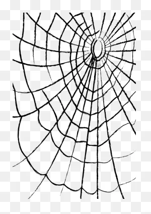 Free Cobweb Png, Download Free Cobweb Png Png Images, Free ClipartFlare.com 