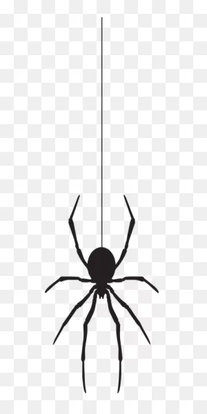 Free Photo Cobweb Web Spiderweb Spider Arachnid Insect - Max Pixel