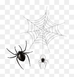 Free Png Download Spider And Cobweb Png Images Background - Spider ClipartFlare.com 