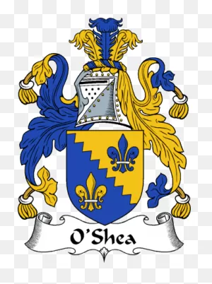 19 Coats Of Arms Ideas | Arms, Family Crest, Coat Of Arms