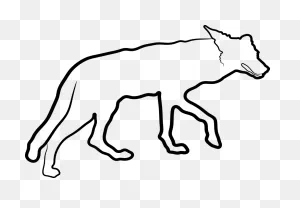 Coyote Animal - Free Vector Graphic On ClipartFlare