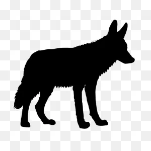 Cute Coyote Sticker