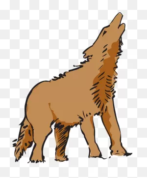 Coyote Clip Art - Red Wolf Clip Art - (596X720) Png Clipart Download