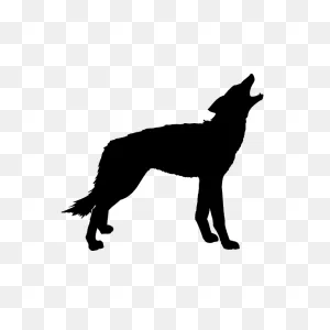Coyote Silhouette Png Vector Transparent Images | Silhouette Png