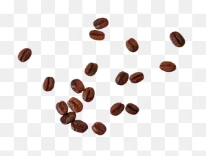 Download High Resolution - Coffee Beans Png Clipart - Full Size ClipartFlare.com 