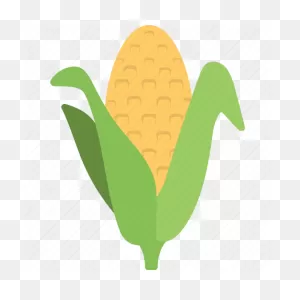 Agriculture, Corn Cob, Corn Stalk, Farming, Maize Icon - Download On ClipartFlare.com 