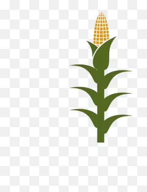 Corn Stalk Clipart - Full Size Clipart (#744584) - ClipartFlare