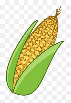 Corn Stalk Clipart. Free Download Transparent .png | ClipartFlare