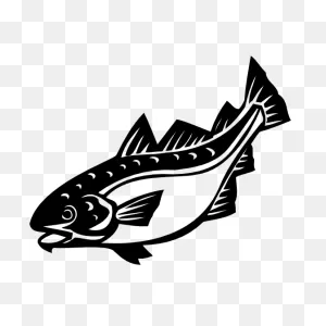 Cod Fish Fishing Sticker