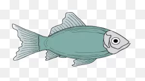 Cod Fish Clipart - ClipartFlare