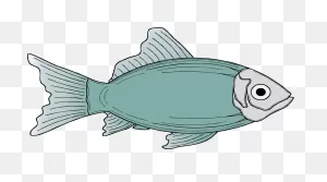 Free Cod Fish Cartoon, Download Free Cod Fish Cartoon Png Images ClipartFlare.com 