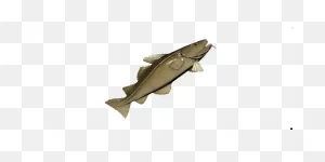 Medium Cod, New World Database | Newworldfans ClipartFlare.com