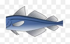 Tuna Clipart Tuna Food - Cod Clip Art - (640X480) Png Clipart Download