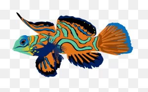 Coral Reef Background Clipart - Fish, Drawing, Illustration ClipartFlare.com 