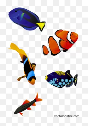 Clip Art Transparent Download Free Colorful Fish Psd - Coral Reef ClipartFlare.com 