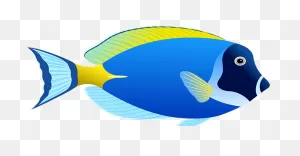 Tubes Poissons - Coral Reef Fish Clipart - (645X345) Png Clipart ClipartFlare.com 