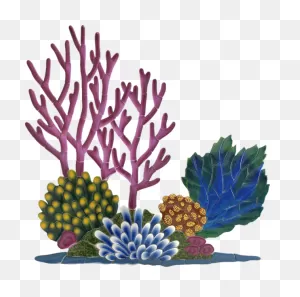 Vector Coral Reef Png File | 