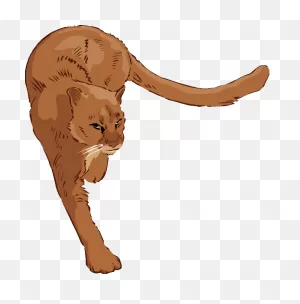 Free Cougar Clipart