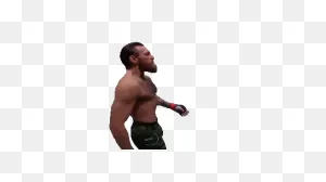 Conor Mcgregor Gifs - Find & Share On ClipartFlare