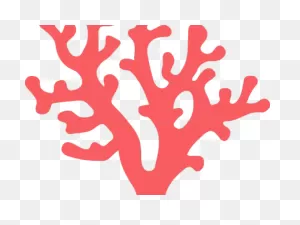 Coral Clipart Transparent Tumblr - Png Download - Full Size ClipartFlare.com 