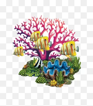 Coral Reef
