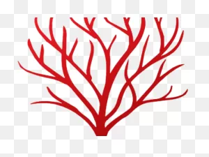 Coral Clipart Red Coral - Png Download - Full Size Clipart ClipartFlare.com 