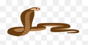 Cobra Snake Clipart. Free Download Transparent .png | ClipartFlare