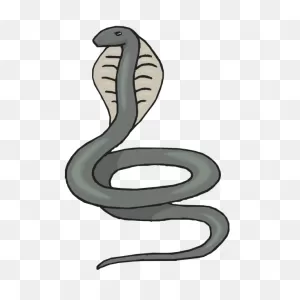 Gray Cobra Png, PNG-WebP Clip Art For Web - Download Clip Art, Png Icon ClipartFlare.com 