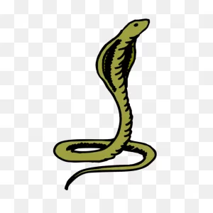 Green Cobra Png, PNG-WebP Clip Art For Web - Download Clip Art, Png ClipartFlare.com 