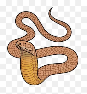 King Cobra Clipart. Free Download Transparent .png | ClipartFlare