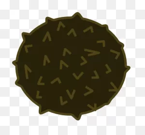 Coconut Fruit Clip Art At ClipartFlare ClipartFlare.com - Vector Clip Art Online ClipartFlare.com 