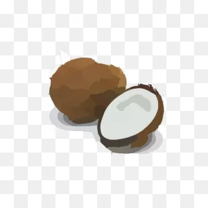 Coconut Png, PNG-WebP Clip Art For Web - Download Clip Art, Png Icon Arts
