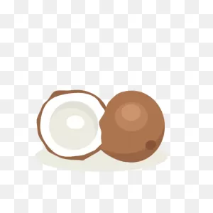 Coconut PNG-WebP Scrapbook Cut File Cute Clipart Files For - Cute ClipartFlare.com 