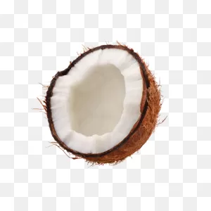 Coconut – Gem