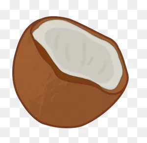 Coconut Clipart. Free Download Transparent .png | ClipartFlare
