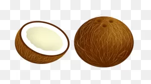 Free Transparent Coconut, Download Free Transparent Coconut Png ClipartFlare.com 