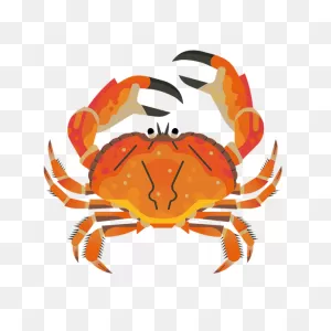 Brown Crab | Good Fish Guide