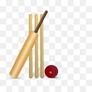 Vector Drawing Of Cricket Equipment | Free PNG-WebP