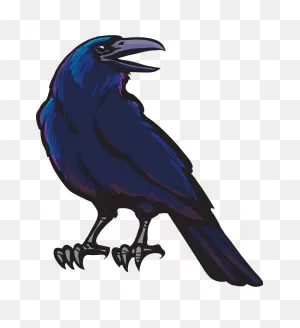 Black Crow Clipart Transparent - ClipartFlare